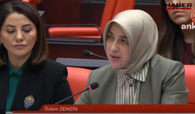 Özlem Zengin'in Davutoğlu sözleri, Gelecek Partisi'ni kızdırdı