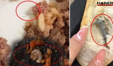 Salyangozlu patates, cıvatalı menemen, kıllı ciğer tava, vidalı ekmek… Önce siz yiyin beyler!