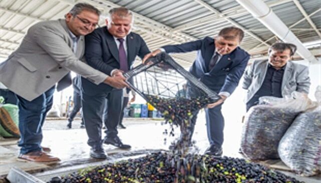 Sezonun ilk zeytinyağı Başkan Tugay’dan