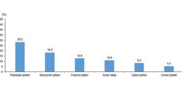 Türkiye Kadına Yönelik Şiddet Araştırması, 2024