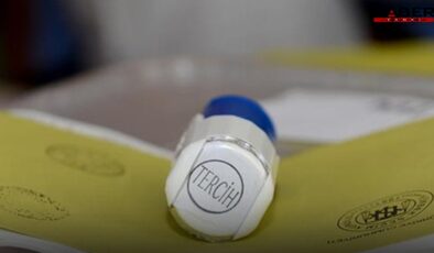 13 anketin ortalaması belli oldu: Hangi partinin yüzde oyu yüzde kaç?