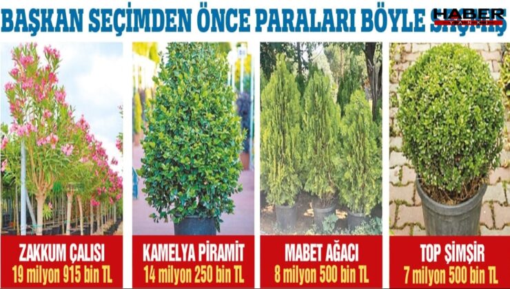 350 milyon lirayı çiçek etti!