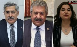 AKP'li isim İmralı ziyaretini tek tek anlattı: Sürecin en kritik dönemi yeni başlıyor