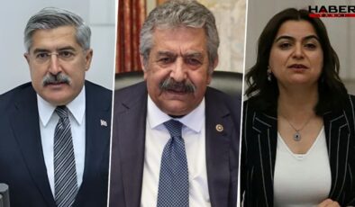 AKP'li isim İmralı ziyaretini tek tek anlattı: Sürecin en kritik dönemi yeni başlıyor