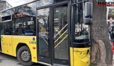 Bağcılar'da İETT otobüsü ağaca çarptı