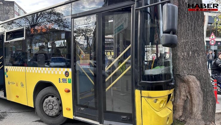Bağcılar'da İETT otobüsü ağaca çarptı