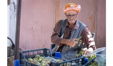 Beydağ incirinin katma değeri artıyor
