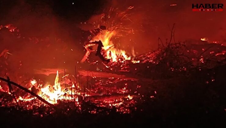 Bilecik'te arazide çıkan yangın söndürüldü