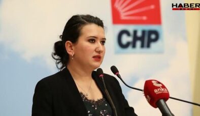CHP'li Gökçe Gökçen'den İddianameye sert tepki