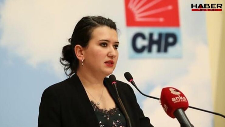CHP'li Gökçe Gökçen'den İddianameye sert tepki