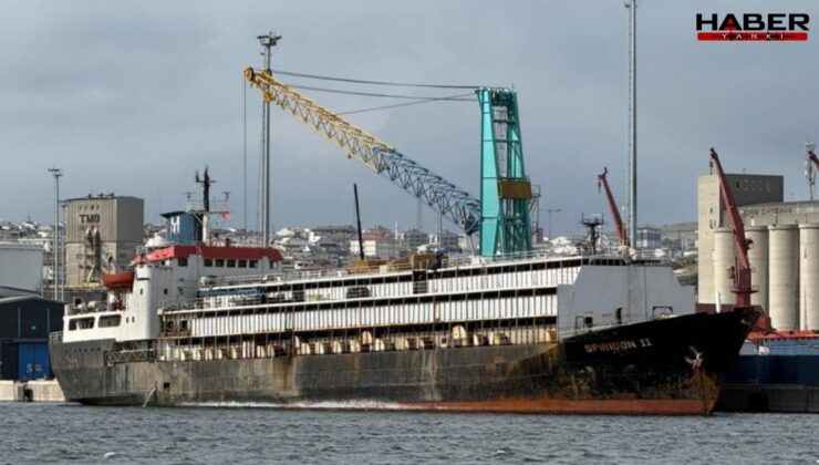 Denetimsiz büyükbaş hayvan yüküyle Bandırma’ya demirledi