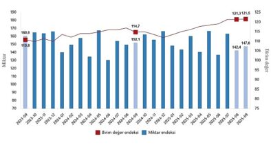 Dış Ticaret Endeksleri, Eylül 2025