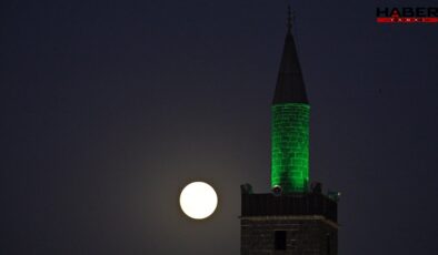 ‘Kunduz ayı’ kartpostallık görüntüler oluşturdu