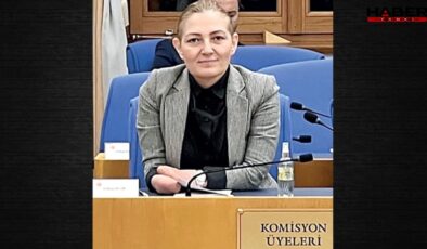 ‘Sizin başörtülü vekiliniz yok’ sözü kavga çıkarttı