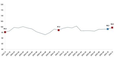 Ekonomik Güven Endeksi, Kasım 2025