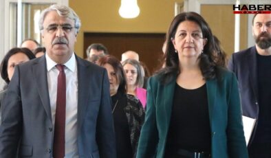 Erdoğan'la görüşmüşlerdi: DEM Parti heyeti İmralı'ya gitti