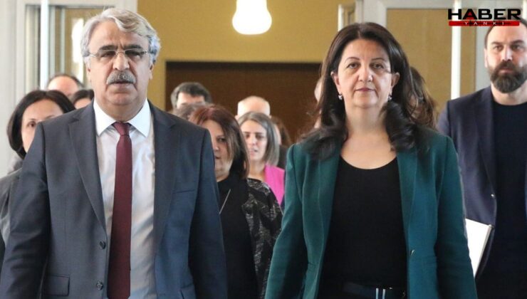 Erdoğan'la görüşmüşlerdi: DEM Parti heyeti İmralı'ya gitti