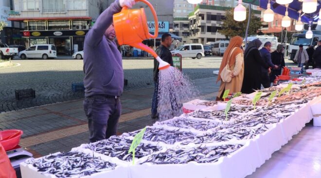 Hamsiyi kasa kasa almaya başladılar: Çok ucuzladı