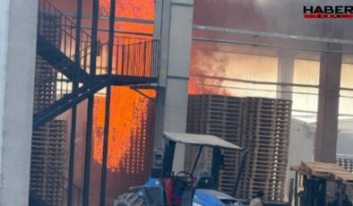 İnegöl’de palet fabrikasında yangın: 1 işçi yaralandı