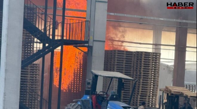 İnegöl’de palet fabrikasında yangın: 1 işçi yaralandı