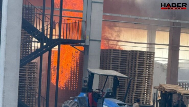 İnegöl’de palet fabrikasında yangın: 1 işçi yaralandı