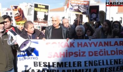 İstanbul Valiliği'nin hayvanlarla ilgili kararına tepki