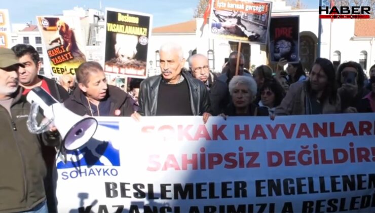 İstanbul Valiliği'nin hayvanlarla ilgili kararına tepki