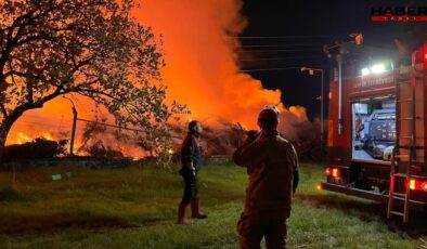 İzmir’de belediyeye ait çöp depolama alanında yangın