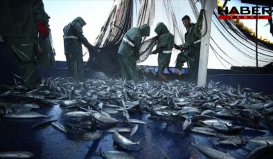 Karadeniz ve Akdeniz'de tehlike sürüyor