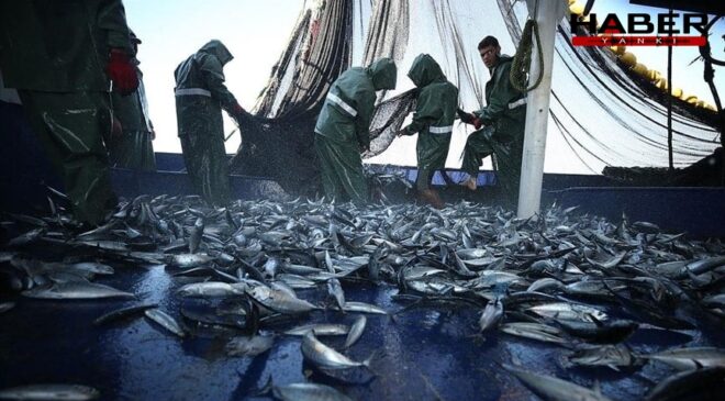Karadeniz ve Akdeniz'de tehlike sürüyor