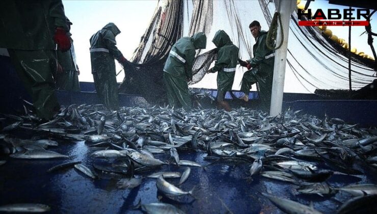 Karadeniz ve Akdeniz'de tehlike sürüyor