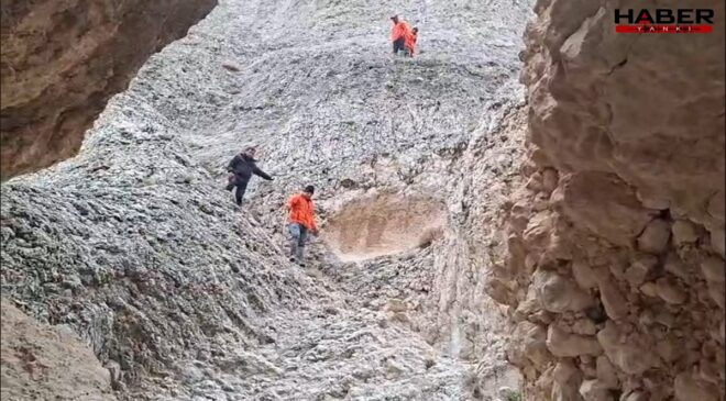 Malatya'da kayıp kadın aranıyor