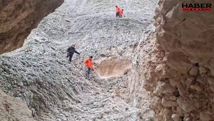 Malatya'da kayıp kadın aranıyor