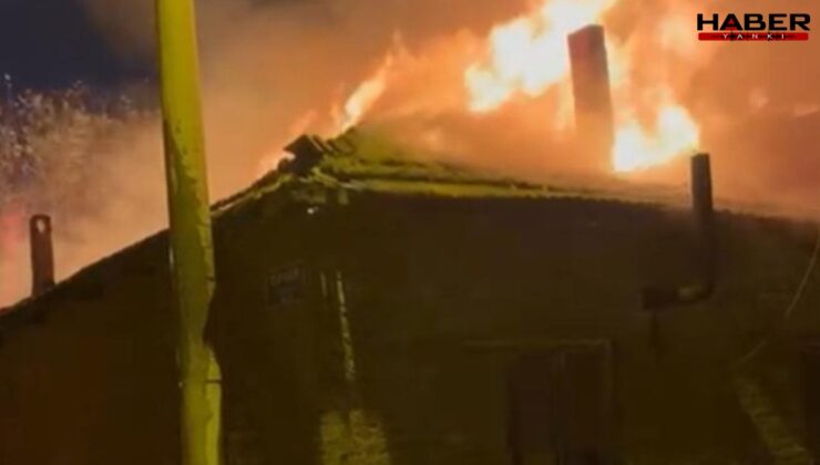 Manisa'da yangın: 2 ev küle döndü