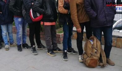 Mardin'de 8 düzensiz göçmen yakalandı