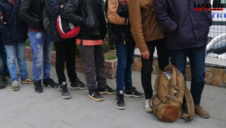 Mardin'de 8 düzensiz göçmen yakalandı