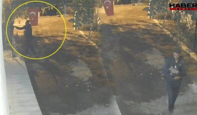 Mavi yumurtlayan özel cins tavuğu böyle çaldı