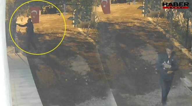 Mavi yumurtlayan özel cins tavuğu böyle çaldı