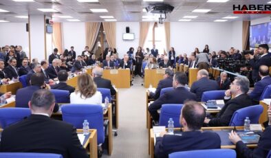 Meclis'te 'bölücülük' tartışması: AKP'li Muş, süreç ortaklarını uyardı