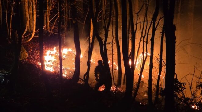 Ordu'da örtü yangını ormanlık alana sıçradı