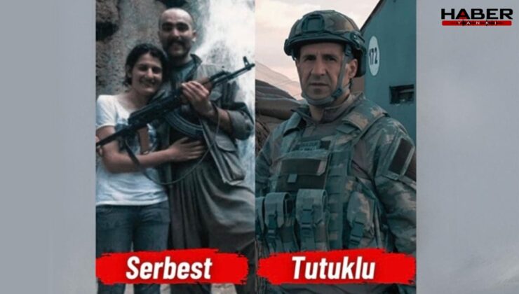 Örgüt değil, tivit üyeliği tehlikeli