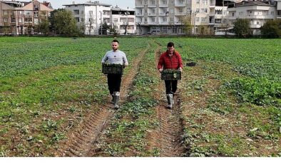 Osmangazi Belediyesi Doğal Üretimle Sofralara Sağlık Sunuyor