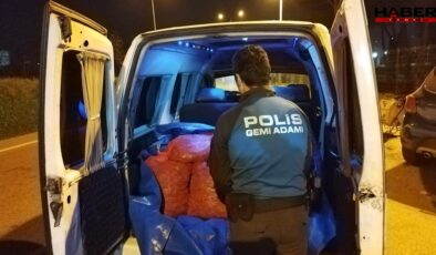 Samsun’da kaçak midye avına darbe: 200 kilo midye ele geçirildi