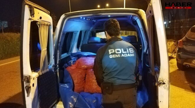 Samsun’da kaçak midye avına darbe: 200 kilo midye ele geçirildi