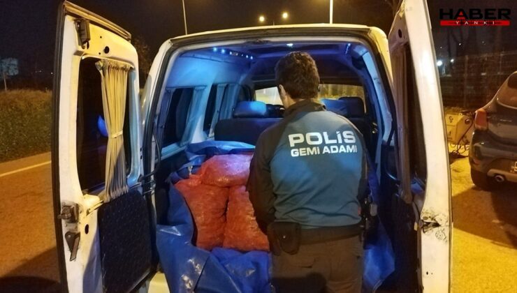 Samsun’da kaçak midye avına darbe: 200 kilo midye ele geçirildi
