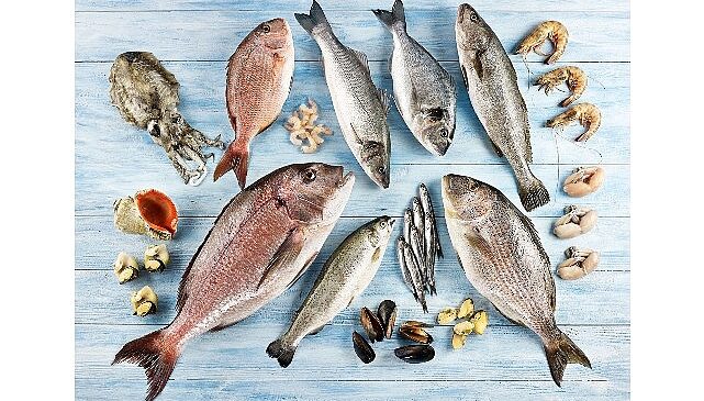 Su ürünleri ve hayvansal mamuller ihracatının yüzde 47’si Ege Bölgesi’nden yapıldı