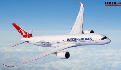 THY ünlü havayolu şirketindeki hisselerini satıyor