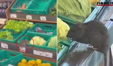 Üç harfli market zincirinde mide bulandıran görüntü