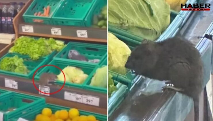 Üç harfli market zincirinde mide bulandıran görüntü