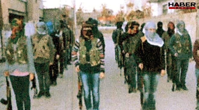 Uyuyan hücreler de silah bırakacak mı?